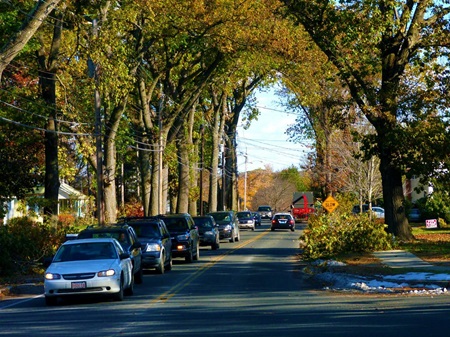 West Springfield MA tree lined street