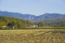 Vermont farm